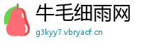 牛毛细雨网